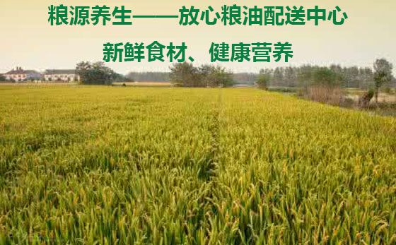 深到你身邊 深圳首家糧油送貨到家，品質生活從餐桌開始